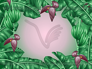 Background with banana leaves. Decorative tropical - vector clipart / vector image