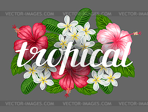 Background with tropical flowers hibiscus and - vector image