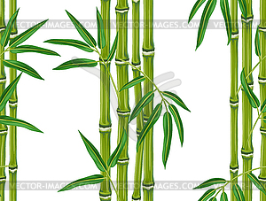 Бесшовные с бамбуковыми растений и листьев. - изображение в формате EPS