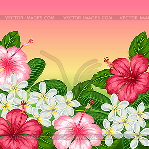 Background with tropical flowers hibiscus and - vector clipart