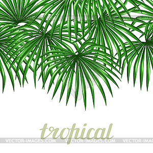 Seamless pattern with palms leaves. Decorative imag - color vector clipart