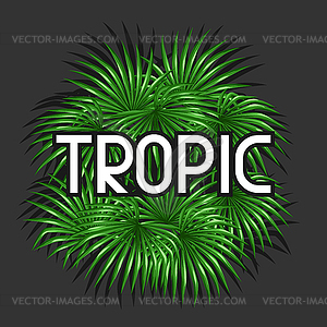 Paradise card with palms leaves. Decorative image - vector image