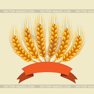 Bunch of wheat, barley or rye ears. Agricultural - vector clipart
