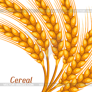 Background with wheat. Agricultural image natural - vector clipart