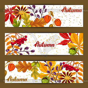 Banners with autumn leaves and plants. Design for - vector image