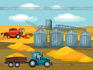 Harvesting grain. Combine harvester, tractor and - royalty-free vector image