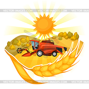 field of wheat clipart photo