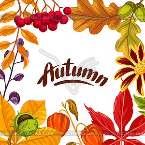 Frame with autumn leaves and plants. Design for - vector image