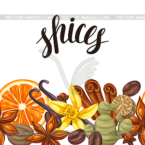 Seamless border with various spices. anise, - vector clipart