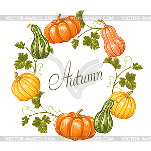 Frame with pumpkins. Decorative ornament of - vector image