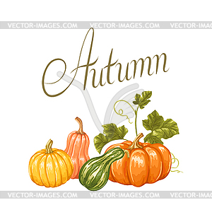 Autumn background with pumpkins. Decorative of - vector clip art