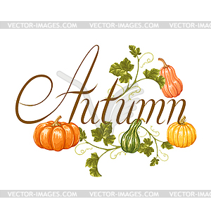 Осенний фон с тыквами. Декоративные из - векторный клипарт EPS