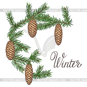 Wreath with fir branches and cones. Detailed vintage - vector clip art