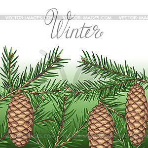 Background with fir branches and cones. Detailed - vector clipart