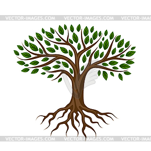 tree with roots clip art free