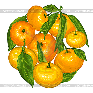 Circle with mandarins. Tropical fruits and leaves - vector image