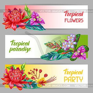 Banners with Thailand flowers. Tropical multicolor - vector image