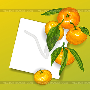 Фон с мандаринами. Тропические фрукты и - векторная иллюстрация