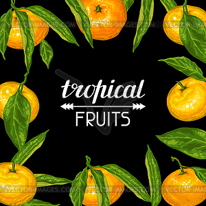 Frame with mandarins. Tropical fruits and leaves - vector image