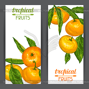 Banners with mandarins. Tropical fruits and leaves - vector clipart