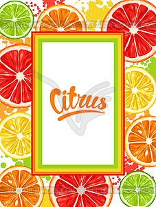 Frame with citrus fruits slices. Mix of lemon lime - vector image