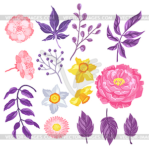Set of decorative delicate flowers. Objects for - vector clipart