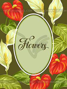 Decorative frame with flowers spathiphyllum and - color vector clipart