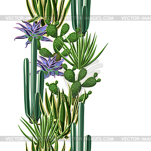 Seamless border with cactuses and succulents set. - vector clip art