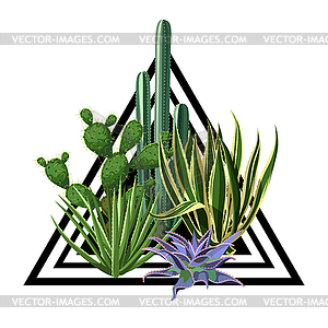 Print with cactuses and succulents set. Plants of - vector clip art