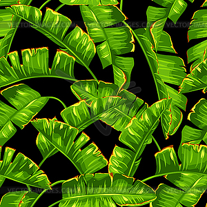 Seamless pattern with banana palm leaves. Decorativ - vector clip art