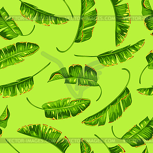 Бесшовные с бананом пальмовых листьев. Decorativ - векторное изображение