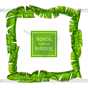 Frame with banana palm leaves. Decorative tropical - vector clipart / vector image