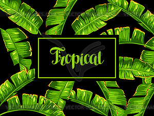 Background with banana palm leaves. Decorative - vector image