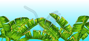 Background with banana palm leaves. Decorative - vector clip art