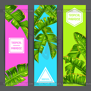 Banners with banana palm leaves. Decorative tropica - vector clipart