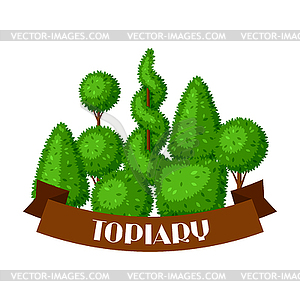 Boxwood topiary garden plants. Background with - vector image