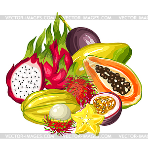 Exotic tropical fruits collection. asian plants - vector image