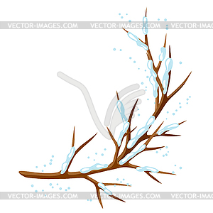 Winter branch of tree and snow. Seasonal - color vector clipart