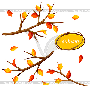 Autumn set with branches of tree and yellow - vector image