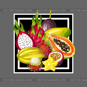 Print with exotic tropical fruits. asian plants - vector image