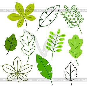 Set of stylized green leaves. Spring or summer - vector image