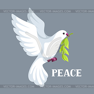 White dove of peace bears olive branch - vector clipart