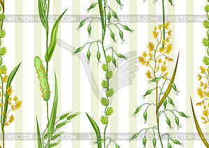 Seamless pattern with herbs and cereal grass. Flora - vector clipart