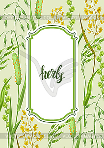 Frame with herbs and cereal grass. Floral design - color vector clipart