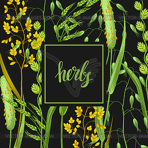 Background with herbs and cereal grass. Floral - vector clip art