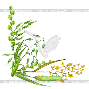 Corner with herbs and cereal grass. Floral design o - vector image