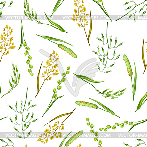 Seamless pattern with herbs and cereal grass. Flora - vector image