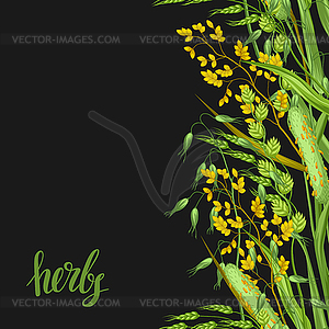 Seamless border with herbs and cereal grass. - vector clip art