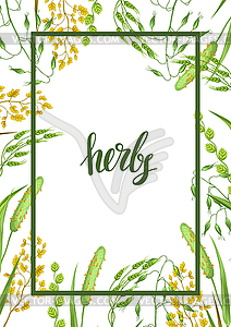 Frame with herbs and cereal grass. Floral design - vector clipart