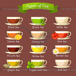 Types of tea. Set of glass cups with different - vector image